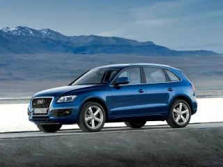 Audi Q5 I · Внедорожник